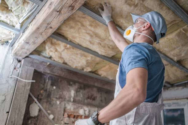 Best Spray Foam Insulation  in Ellijay, GA